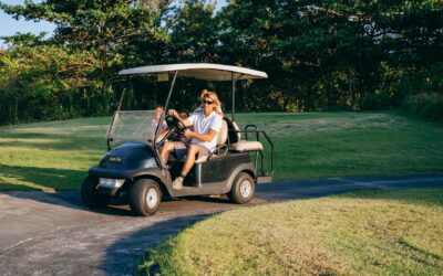 High-Speed Motors for Golf Carts: Unleashing Power and Performance in Boynton Beach